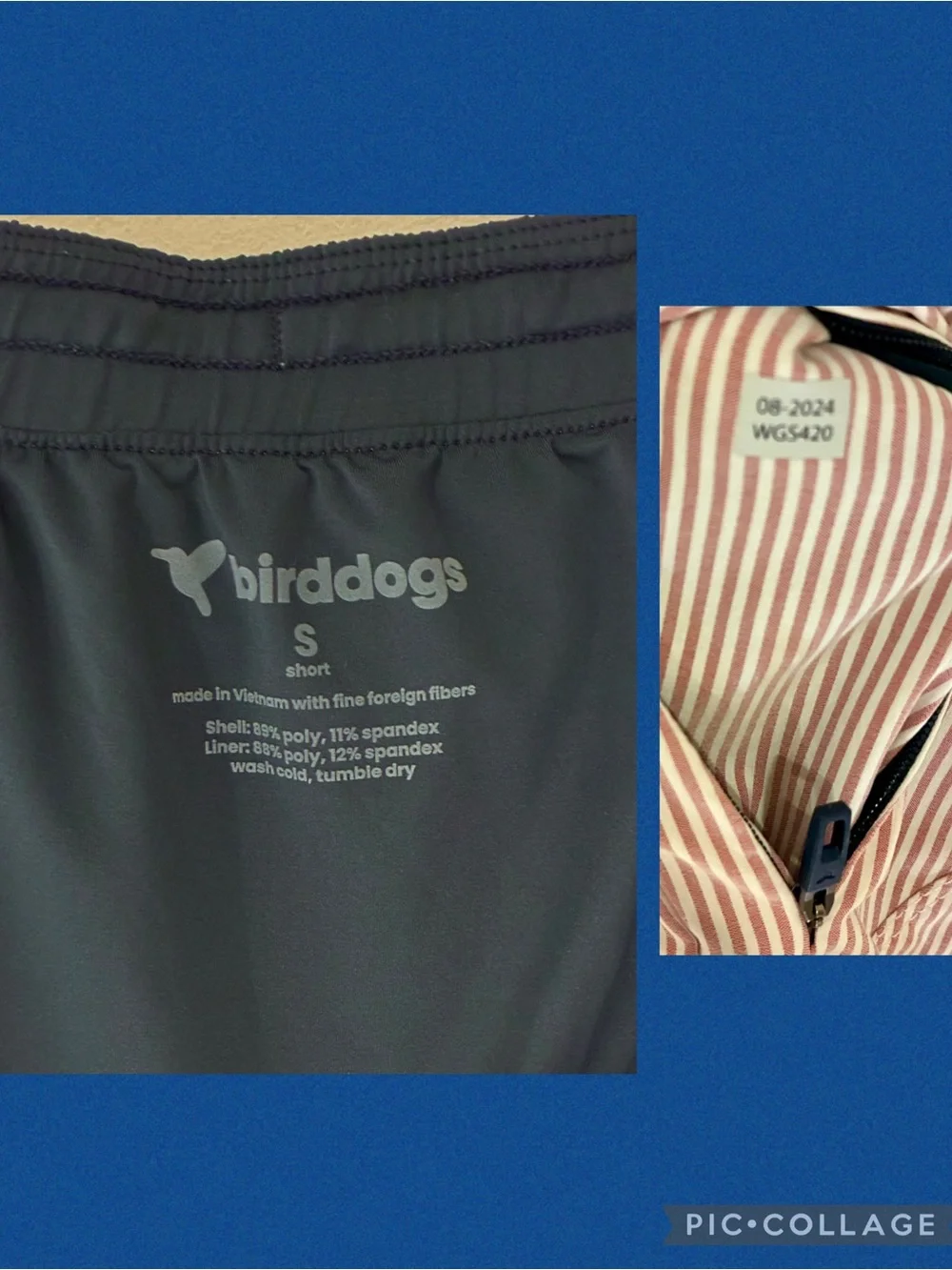 Birddogs Sargeant Tuddy Gym Shorts with Liner
